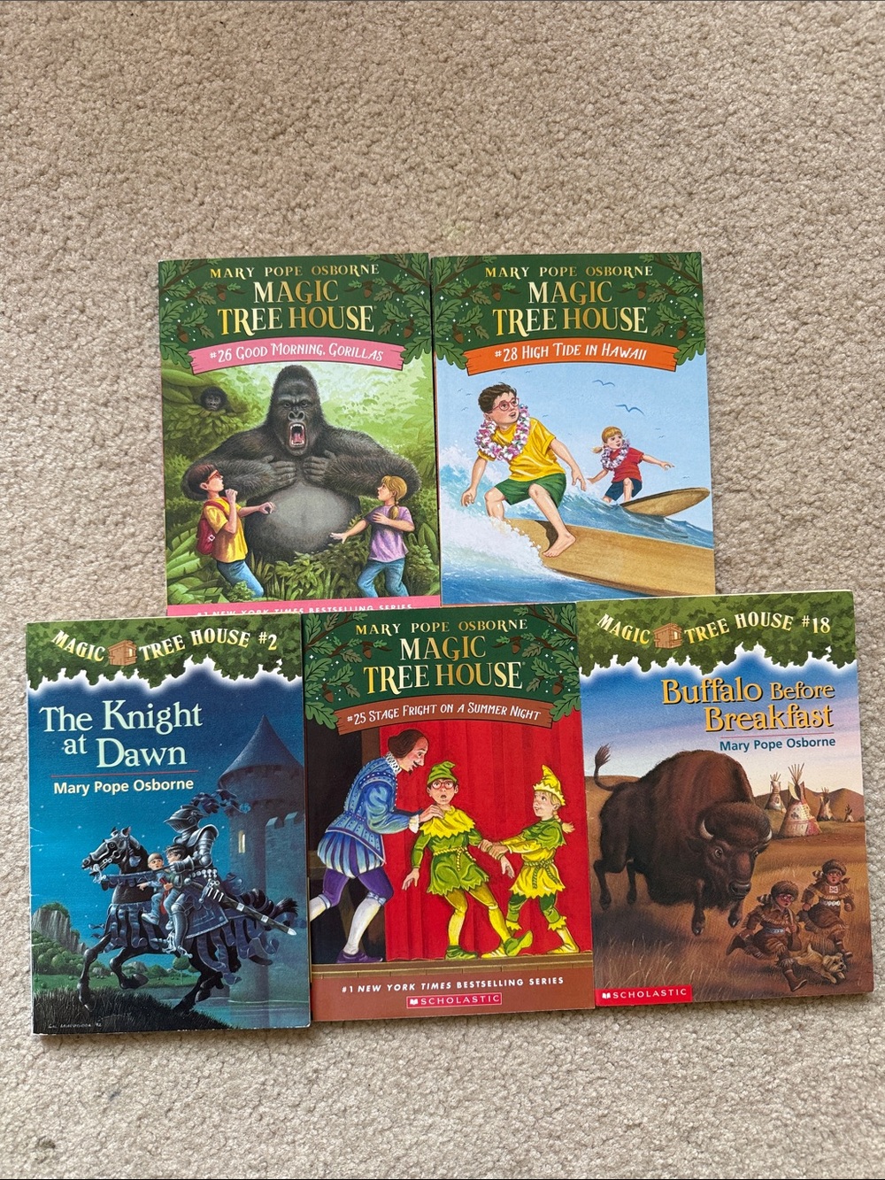 Magic Tree House  - Mary Pope Osborne - 5 books #2, 18, 25, 26, 28